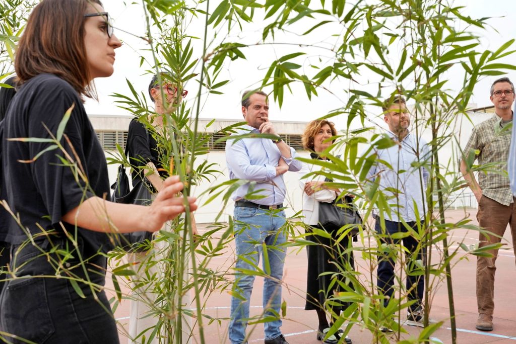 El Ayuntamiento de Mairena licita la renaturalización de los patios de los CEIP