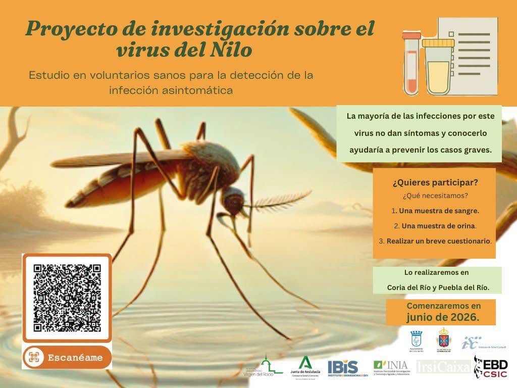 Coria del Río impulsa un proyecto de salud pública de investigación sobre el virus del Nilo