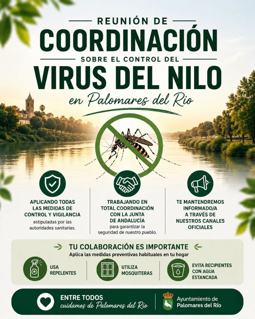 Palomares del Río refuerza la coordinación con la Junta para el control del Virus del Nilo tras confirmarse un caso positivo